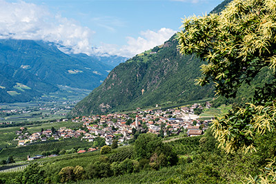 Vacanze al maso Ausergrubhof in Alto Adige