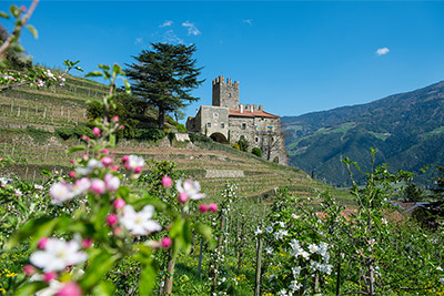 Castello Hochnaturns